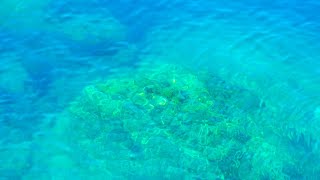 Tranquil Waterscapes: Meditation, Sleep, and Studying with Calming Rippling Sounds and Visuals