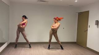 Party for Two -  Shania Twain Beginner Heels Choreography