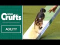 Agility - Kennel Club British Open Final - part one | ​Crufts 2020