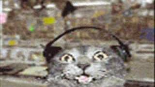 Ebay Cats