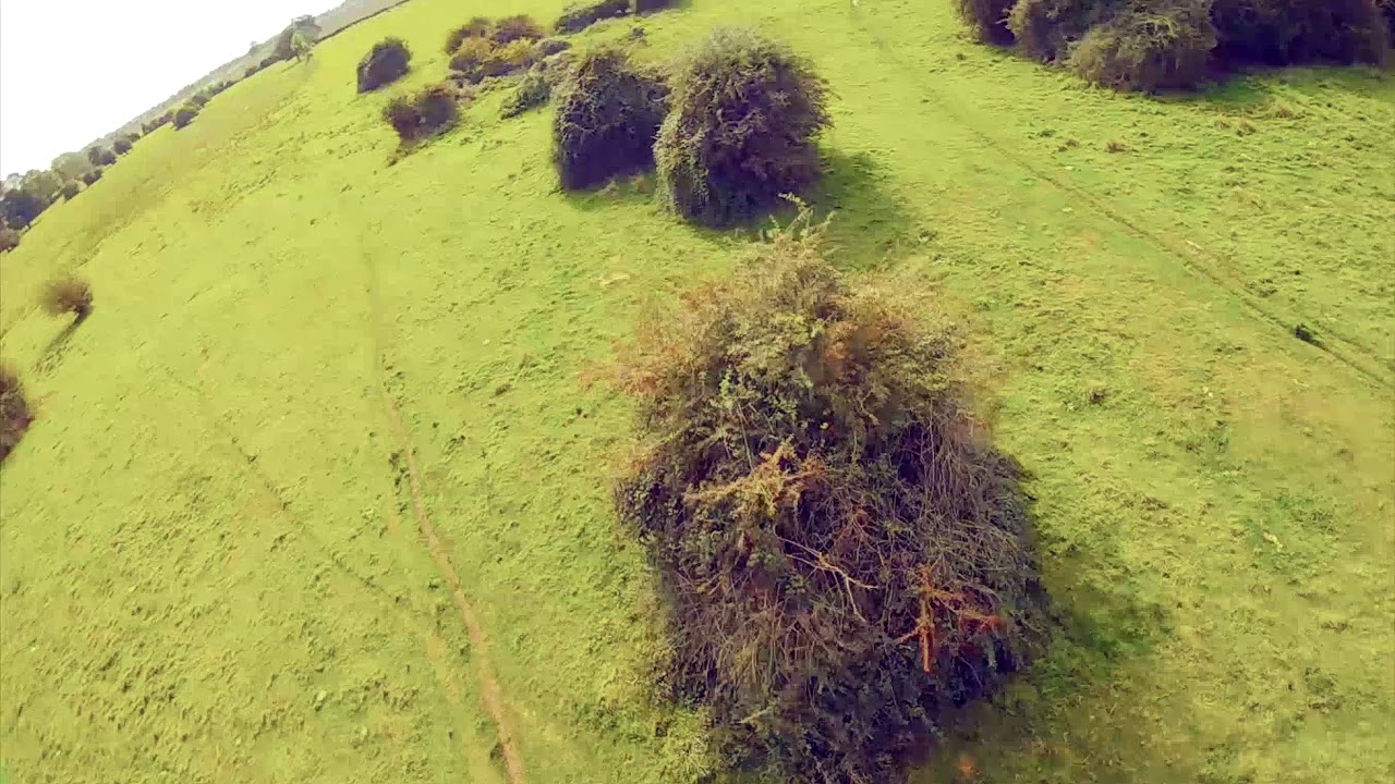 Bad prop & burned ESC