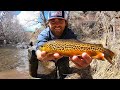 Catch  cook fire roasted trout creek fishing