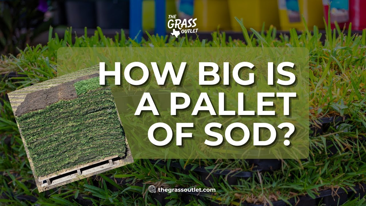How Big is a Pallet of Sod? | The Grass Outlet | Austin, TX