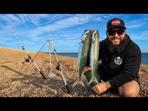 Mackerel & Night Fishing, Chesil.