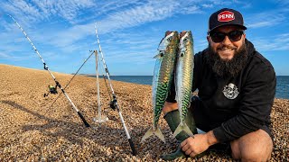 Mackerel & Night Fishing, Chesil.