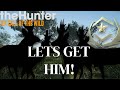 GRINDING ROE DEER ON CUATRO! EVERYONE IS GETTING THEM ITS OUR TURN |The Hunter Call of the Wild