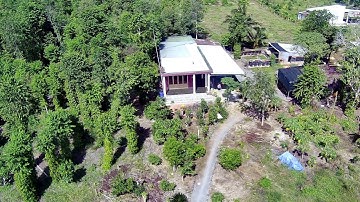 #49✅Nhà Vườn 450tr/sào, Bán Hết 3,2 mẫu Tại Vĩnh Tân, Vĩnh Cửu, ĐN l Call 0379.539.579