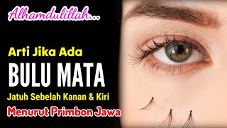 ALHAMDULILLAH !! ARTI JIKA ADA BULU MATA JATUH SEBELAH KANAN DAN SEBELAH KIRI, SEGERAKAN BERSYUKUR
