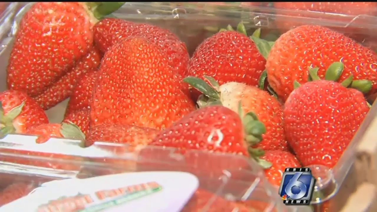 Strawberry shortage sends prices skyhigh YouTube