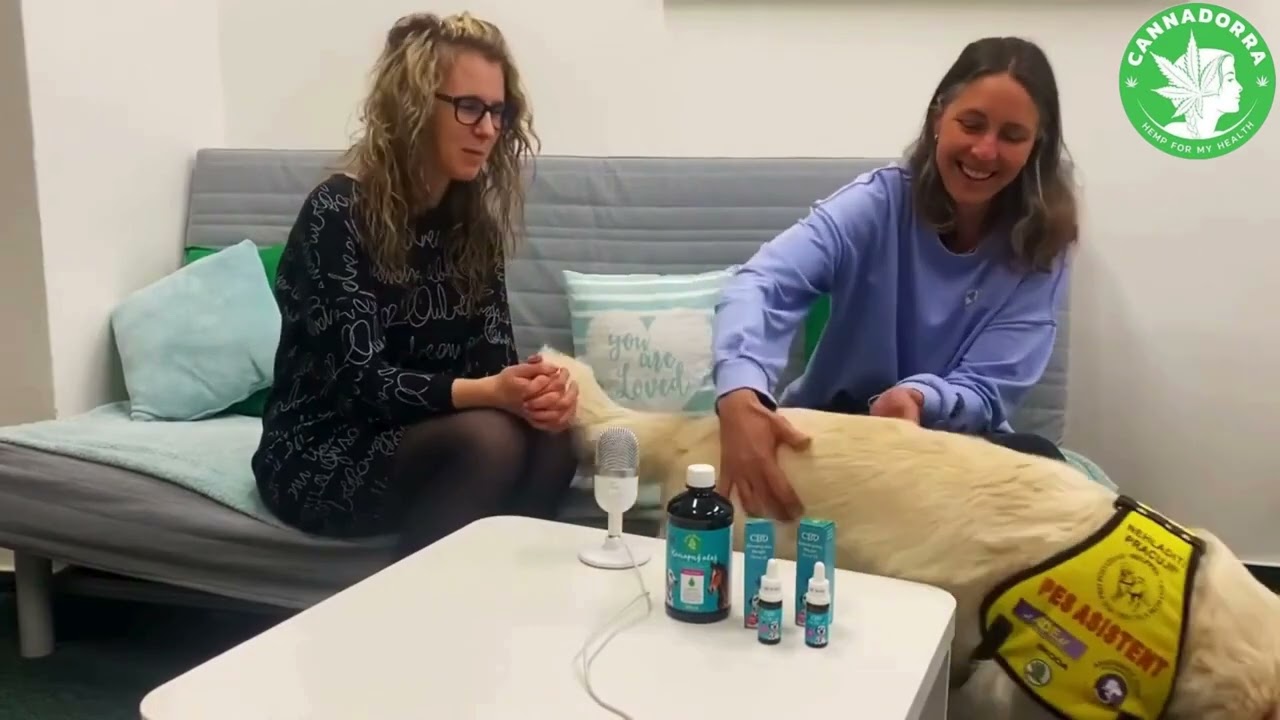 Osteoarthritis and CBD in dogs - how can it help?