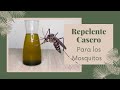 Repelente casero para combatir los mosquitos - repelente de mosquitos casero - Repelente Casero