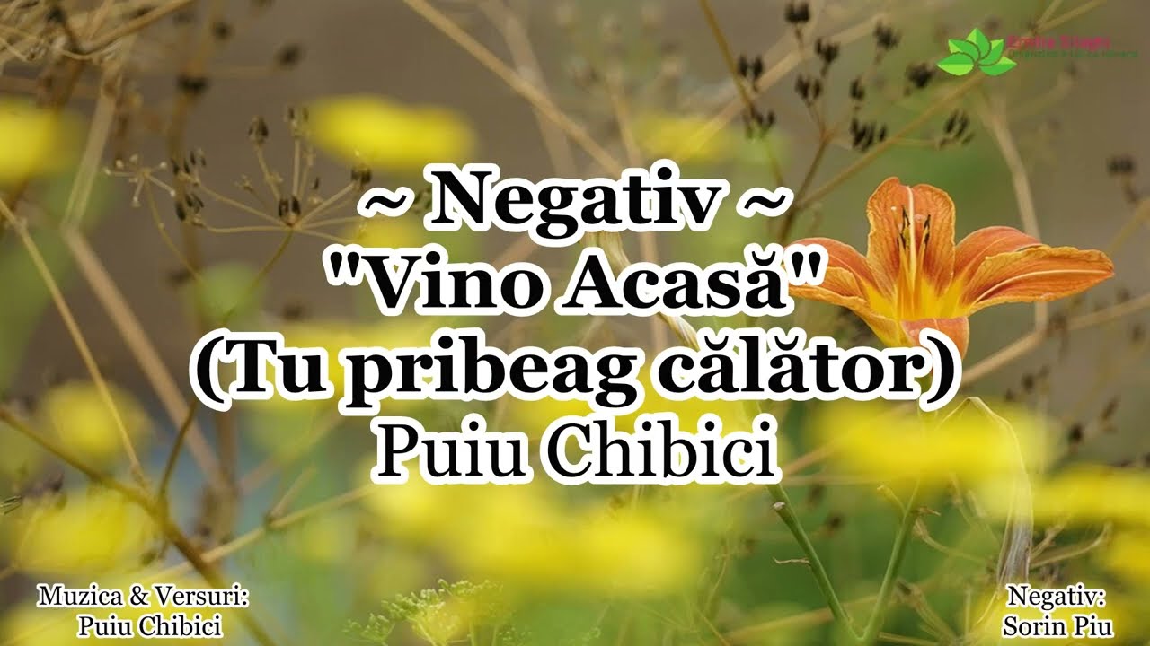 Negativ -Vino Acasă (Tu pribeag călător) - Puiu Chibici [NOU 2022]