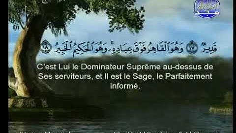 ص 129 - سورة الأنعام - مكررة 7 مرات للتثبيت - الشيخ سعود الشريم