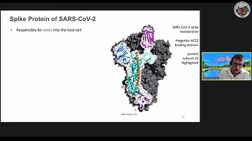 GCPR VMV VCBM 2020: Keynote 3 - Hans-Christian Hege - Human against Virus