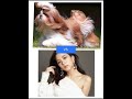 shi Tzu VS blackpink Jisoo