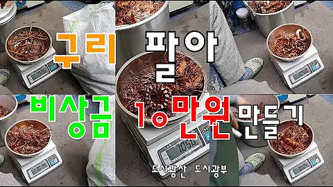 동 시세