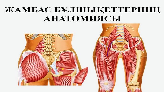 Порно алмасу клубы