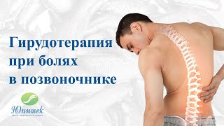 видео: Гирудотерапия при болях в позвоночнике картинка: Гирудотерапия при болях в позвоночнике