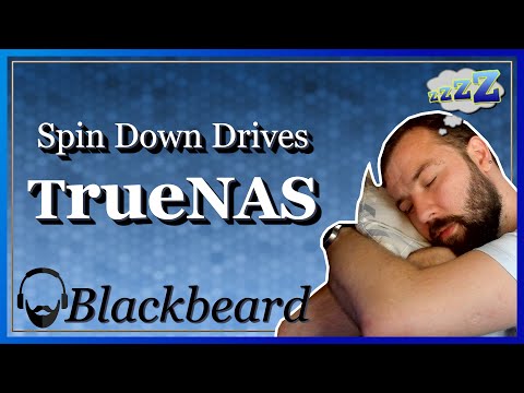 Spinning Down Disks | Managing TrueNAS Core