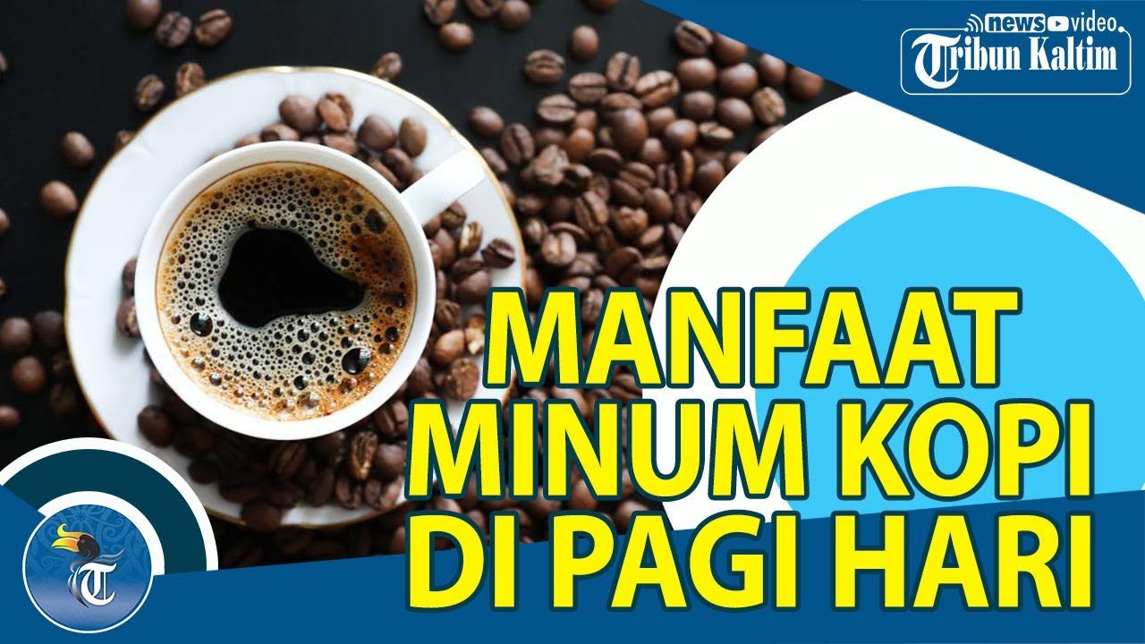 Paling Populer 29 Gambar Minum Kopi Luwak Lucu 