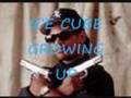 ICE CUBE GROWING UP mp3