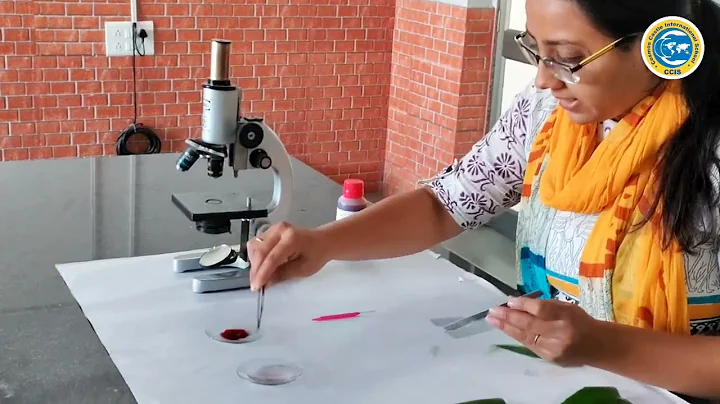 To Study the distribution of stomata in upper and lower surfaces of leaf ll Biology ll Class 11