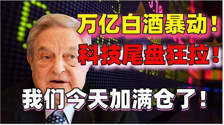 萬億白酒集體暴動！科技股尾盤狂拉！我今天加回滿倉了！散戶這一波應該買什麼板塊？（2021/8/10股市預測）【中文字幕】 - 天天要聞