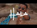 Fally Ipupa X Franglish type beat "HALA" | AfroCongo Instrumental