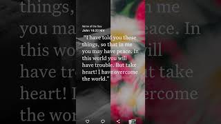 daily gospel verse #bible #quotes #motivation