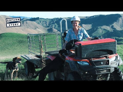 Living the Dream in the Taihape High-Country | On Farm Story