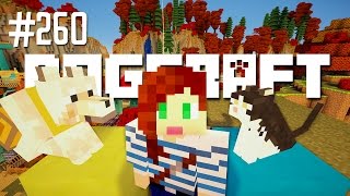 BUILDER'S BLOCK - DOGCRAFT (EP.260)