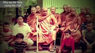 Why are We Here? | Ajahn Chah