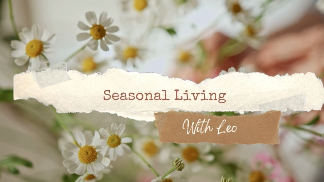 Seasonal living with Leo cosy slow living creative joyful living in the English countryside