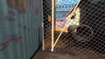 Source Filmmaker - Camera Movements Test + Bump Map