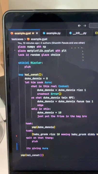 NEW BRAINROT PROGRAMMING LANGUAGE JUST DROPPED #coding # ...