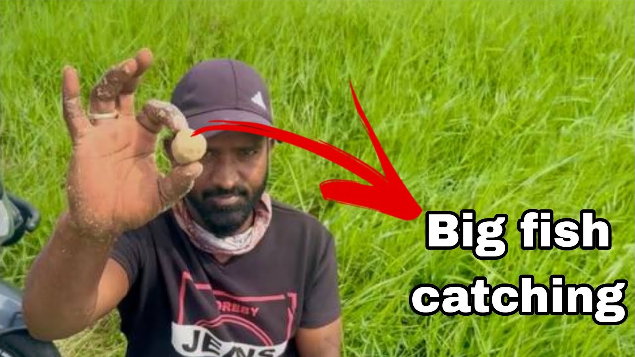 How To Catch Fish With Hook | Flout Fishing For Beginners | Hook Fishing Videos 