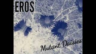 EROS - HWY 8