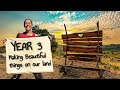 Our 3rd Year Off Grid as Total Beginners |  LIVESTOCK