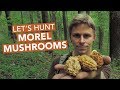 Lets hunt morel mushrooms