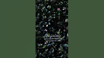 القرآن الكريم راحه نفسيه بصوت ماهر المعيقلي #القرآن_الكريم #ماهر_المعيقلي @MaherAlMuaiqly