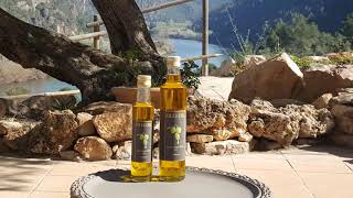 Extra Virgin Olive Oil (ollie oil from El-Figueral) Production