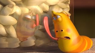 larva garlic larva 2018 cartoons for children funny animation larva official