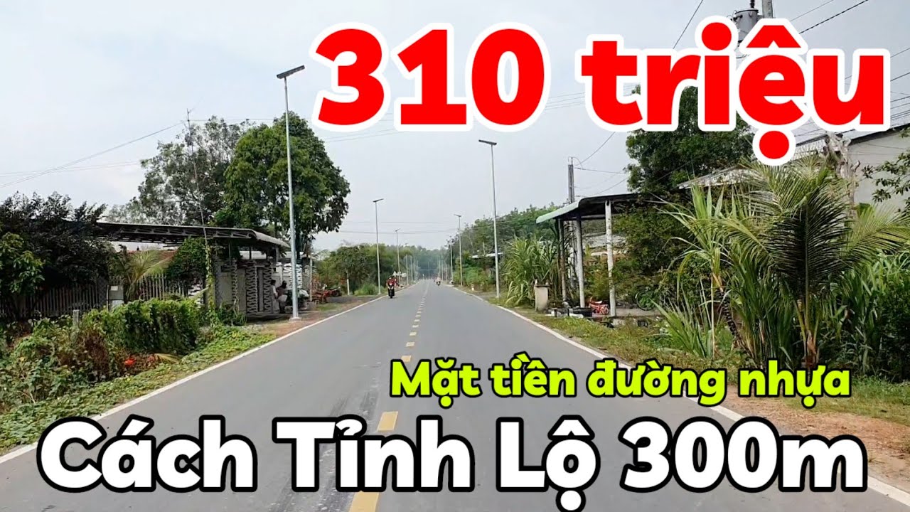 Bán đất 310 triệu đường nhựa full thổ cư cách Chợ 700m Tỉnh lộ 14C 300m ở Long Thuận Tây Ninh
