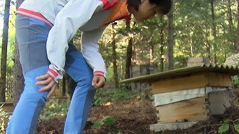 China taking more steps to find solutions for air pollution