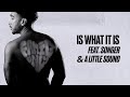 Bru C Is What It Is Feat Songer A Little Sound Official Visualiser mp3