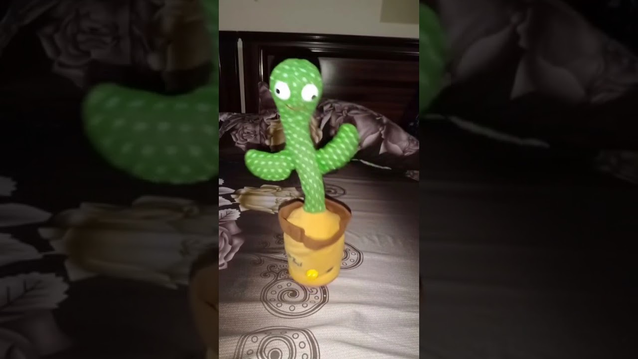 dancing cactus walking