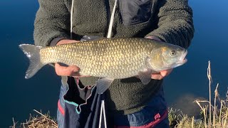 MONDO PESCA - I SEGRETI DEL FIUME - LA TANA DEI CAVEDANI - FIUME SERIO - #fishing #fishingvideo