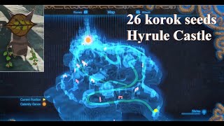 Zelda BOTW [DLC Pack 1 & 2] 26 korok seeds (Hyrule Castle) location