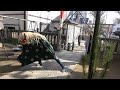 2019年1月6日 橋戸稲荷神社 奉納獅子舞