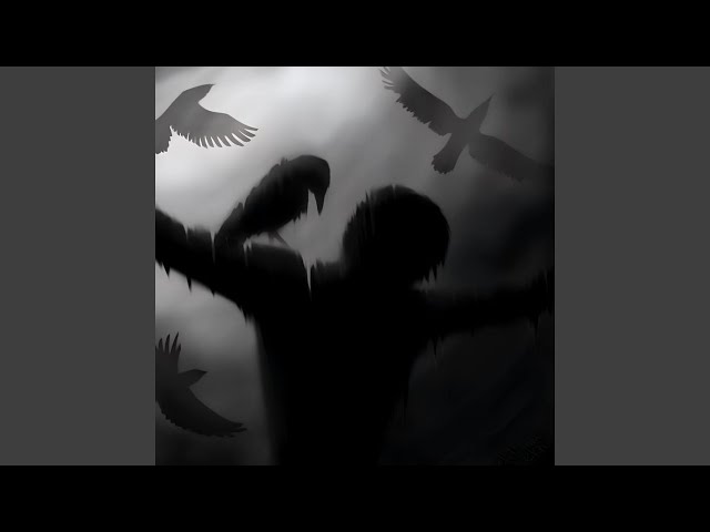 ASOLTO (Sped Up)